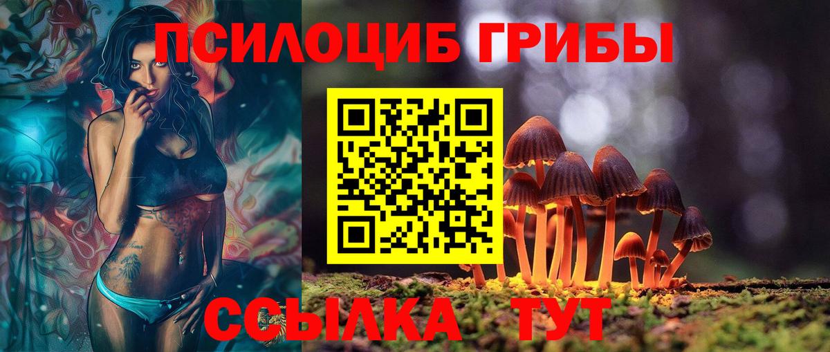 Галлюциногенные грибы GOLDEN TEACHER Саяногорск