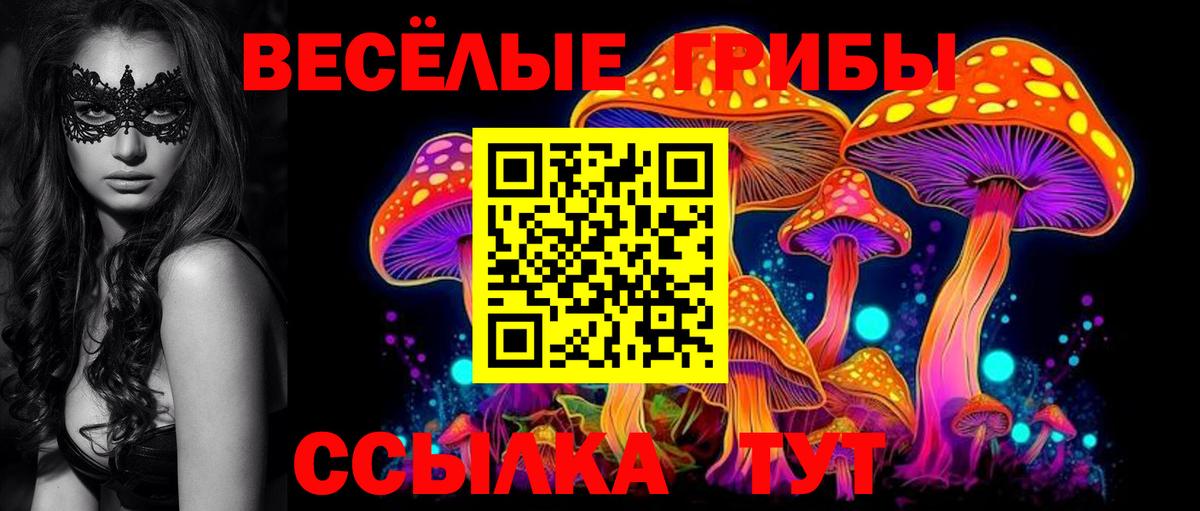 Саяногорск  продажа наркотиков  Вход с VPN  Псилоцибиновые грибы мицелий 